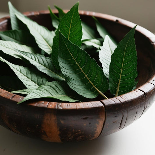 Neem (Azadirachta indica)