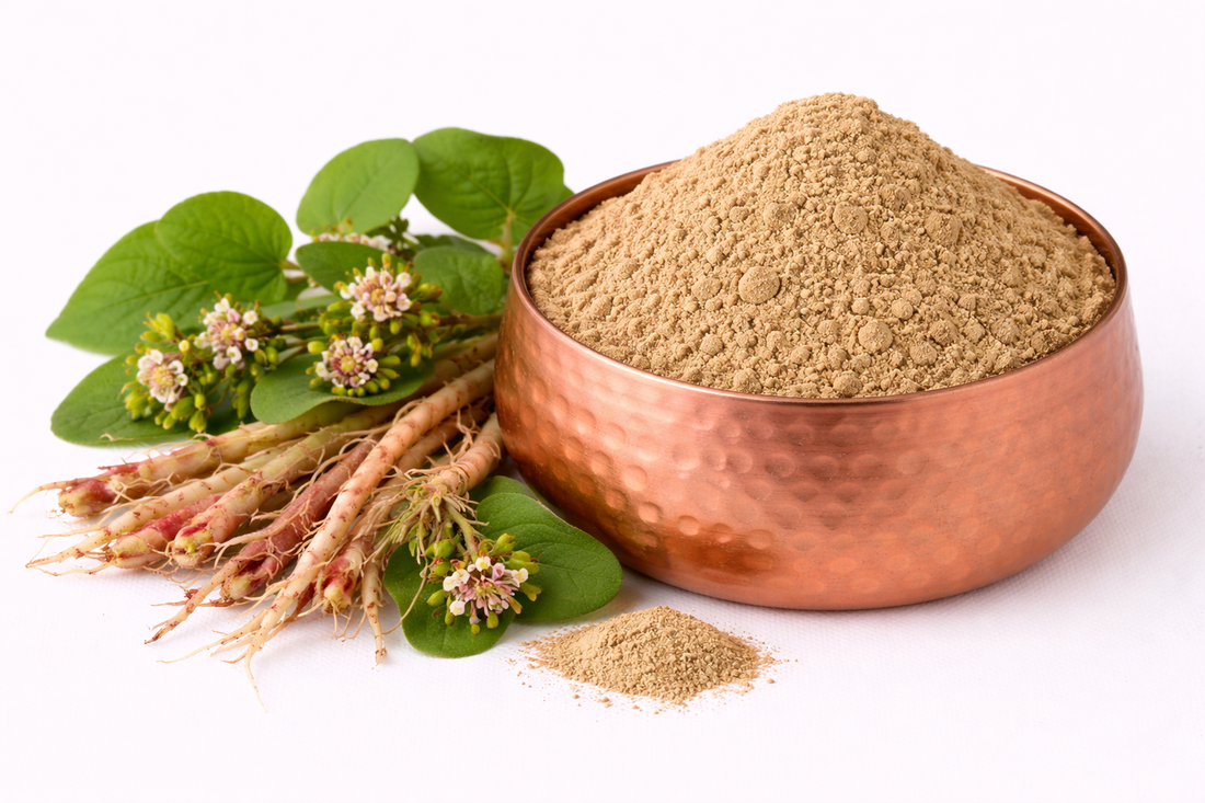 Punarnava (Boerhavia diffusa)