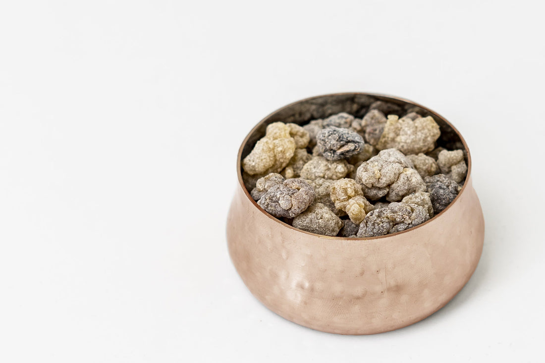 Shallaki (Boswellia serrata)