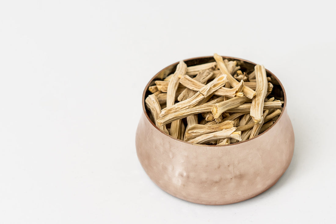 Shatavari (Asparagus racemosus)